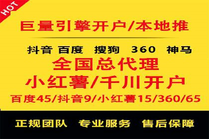 竞价广告的创意与执行：某快消品的营销突破